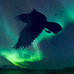 Meet your Posher, AurorasLight!